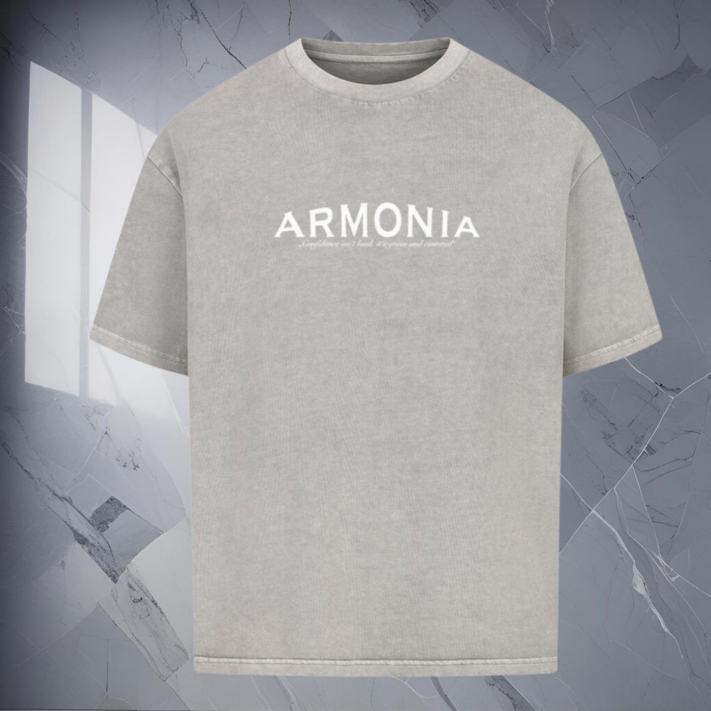 Armonia Oversized Shirt Washed Grey